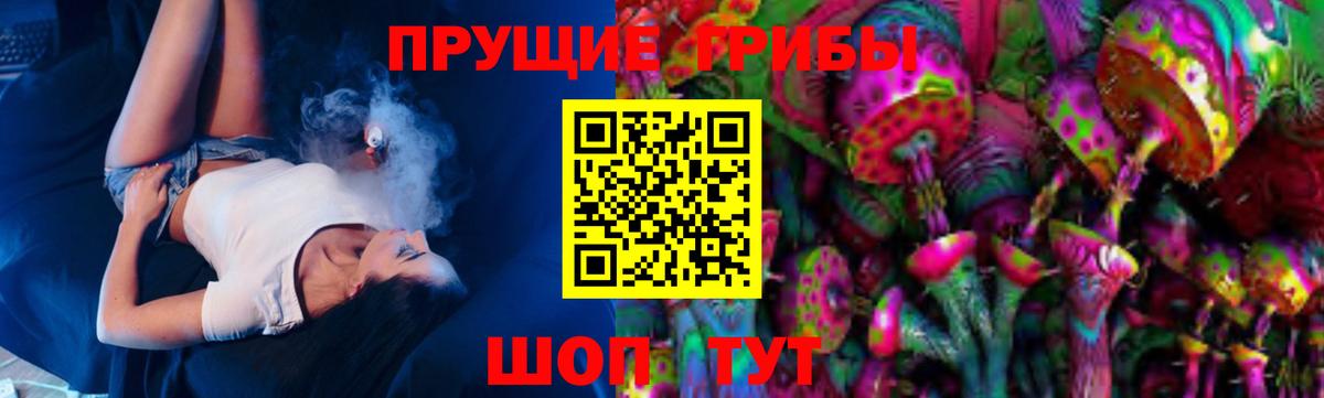 Щёкино  Псилоцибиновые грибы прущие грибы  Вход с VPN 